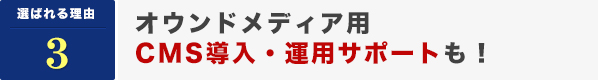 オウンドメディア用CMS導入・運営サポートも！